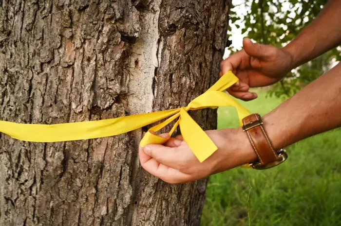 Ernteprojekt_Gelbes_Band_c_ZEHN