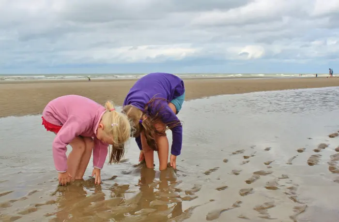 Wattenmeer Nordsee