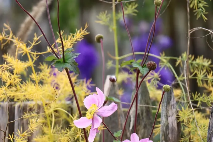 Garten Winter Herbst